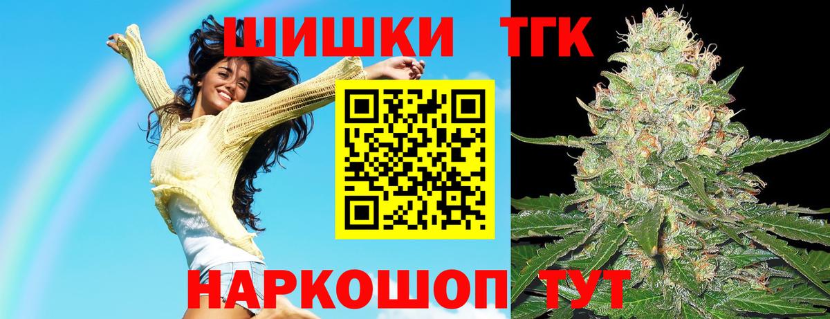 Конопля сатива Миллерово
